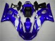 Affordable 1998-2002 White Blue Yamaha YZF R6 Bike Fairings & Bodywork