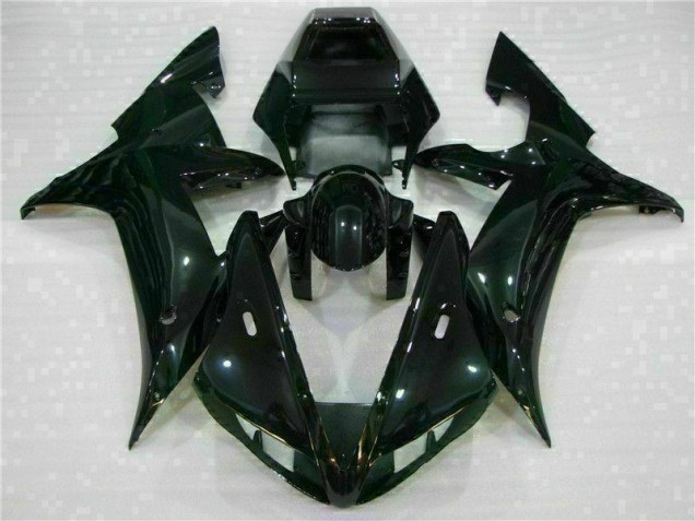 Affordable 2002-2003 Black Yamaha YZF R1 Bike Fairing